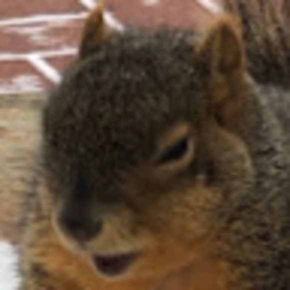 Profile Picture of Alexander Nguyen (@alexn091506) on Poshmark