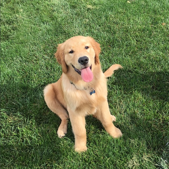 Profile Picture of Jill Hoyman (@jhoyman) on Poshmark