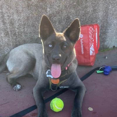 Profile Picture of AL (@al_ram1999) on Twitter