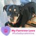 Profile Picture of Nancy Kaminsky Bevans (@nancy.bevans.1) on Facebook