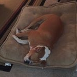 Profile Picture of Dennis Morgan (@dennismorgan2533) on Instagram