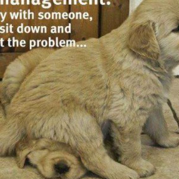 Profile Picture of Sarah Spayd (@cstsarah3) on Poshmark