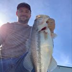 Profile Picture of Michael Beaty (@beatybassin) on Instagram