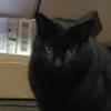 Profile Picture of Jocelyne (@jossie496) on Tiktok