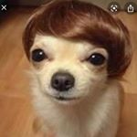 Profile Picture of Gabriel Basagoitia (@gabrielbasa1) on Instagram