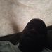 Profile Picture of Randy Beale (@randy.beale.3) on Facebook