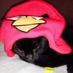 Profile Picture of Matthew Boyett (@young_masicure) on Instagram