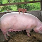 Profile Picture of Nicholas Ramos (@nicholas_ramos_) on Instagram