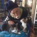 Profile Picture of Roy MacGregor (@roy.macgregor.167) on Facebook