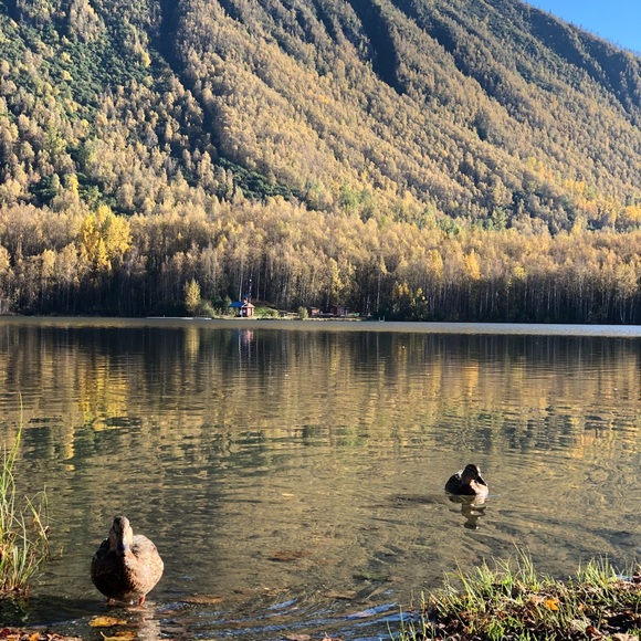 Profile Picture of Lucy Xiong (@ladyx1) on Poshmark