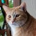 Profile Picture of Joshua Fshman (@joshua.fshman) on Facebook