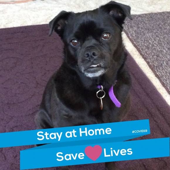 Profile Picture of Becky Steckling (@becky0389) on Poshmark