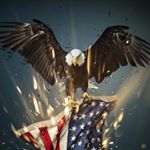 Profile Picture of David Assili (@assili489) on Instagram