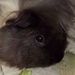 Profile Picture of David Eisner (@davide3309) on Pinterest
