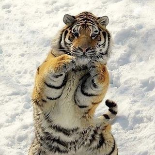 Profile Picture of Sammy Pascua (@sammy.pascua.5) on Facebook