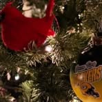 Profile Picture of Marlene Trudell Skowron (@Marlene-Trudell-Skowron) on Facebook