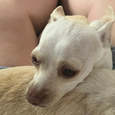 Profile Picture of Grace A (@G_Atchison12) on Twitter