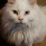 Profile Picture of Nannette Roach (@roachnannette) on Facebook