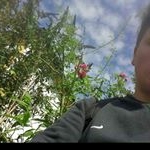 Profile Picture of Albert Popp (@dapoppi33) on Instagram