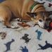 Profile Picture of James Prettyman (@james.prettyman.733) on Facebook