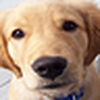 Profile Picture of odonnell.eugene (@odonnell.eugene) on Flickr