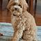 Profile Picture of Dennis Halstead (@dennis.halstead.16) on Facebook