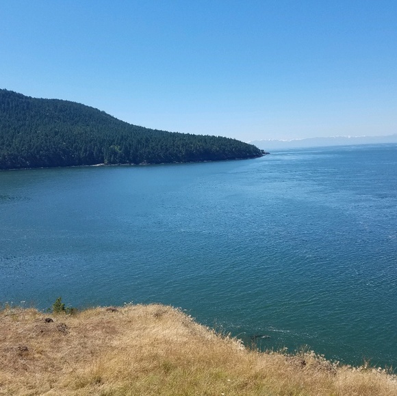 Profile Picture of Liz Wong (@person823) on Poshmark