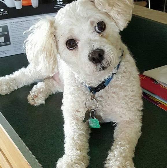 Judy Ringley - Poshmark Profile Picture of Judy Ringley (@juringl24) on Poshmark