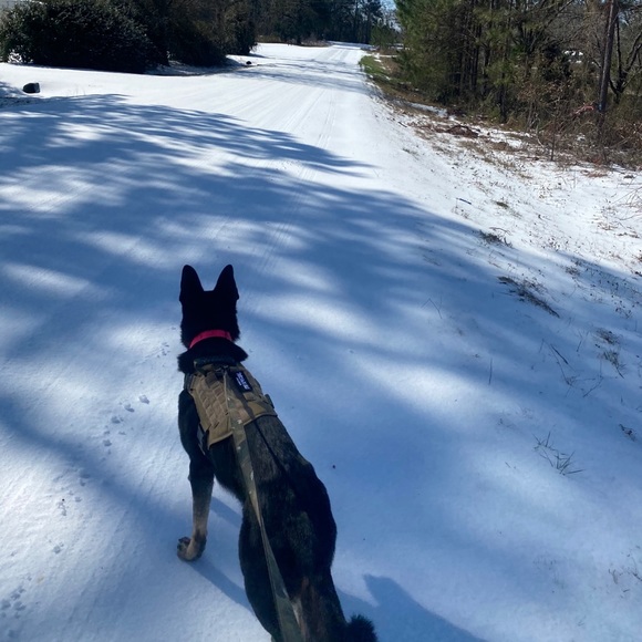 Profile Picture of Christopher Hooper (@choope) on Poshmark