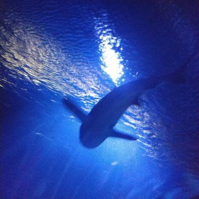 Profile Picture of Michael Orr (@orrmichael922) on Twitter