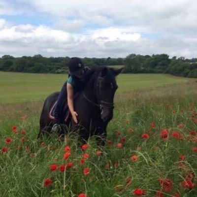 Profile Picture of Neil Allan (@@aneilallan) on Twitter