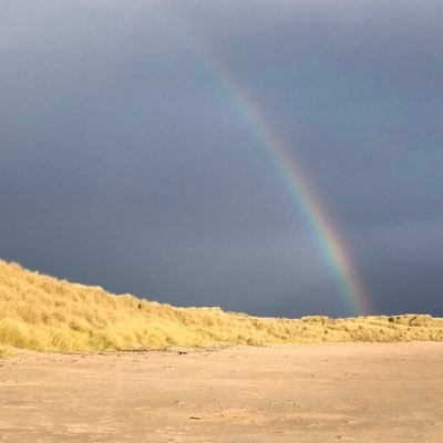 Profile Picture of Mark Temple (@MarkyTemple) on Twitter