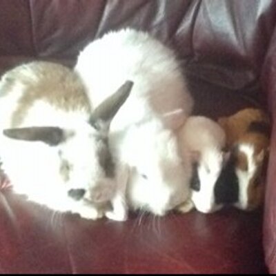 Profile Picture of Alice Sophie Sibley (@Alicesophie2000) on Twitter