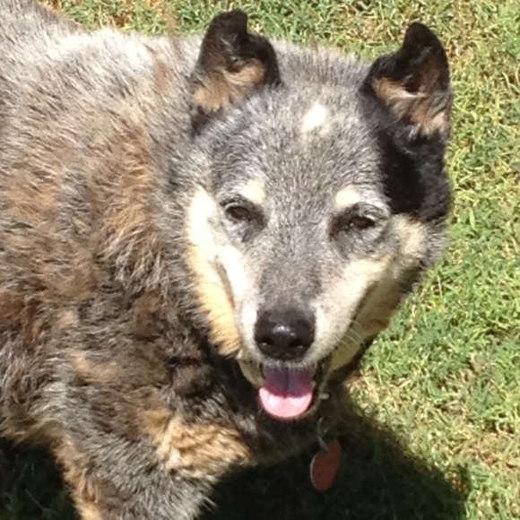 Kevin Riney - Poshmark Profile Picture of Kevin Riney (@kriney) on Poshmark