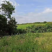 Profile Picture of Matthew Kozma (@matthewkozma3842) on Youtube