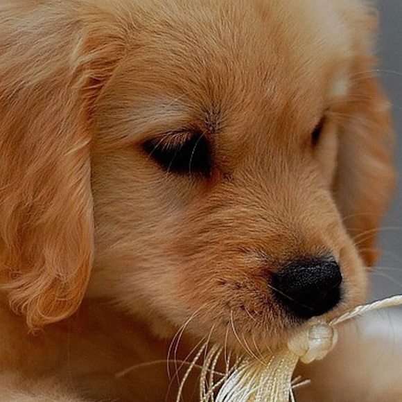 Profile Picture of Cameron Mccabe (@helloimcam) on Poshmark