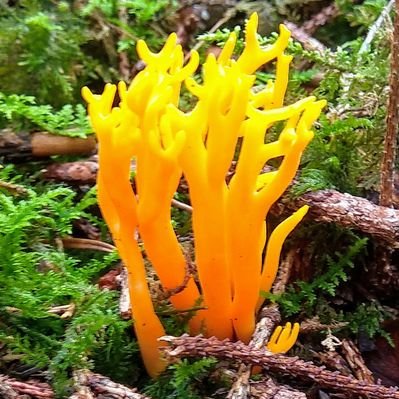 Profile Picture of Daniel (@DanielAmstutz1) on Twitter