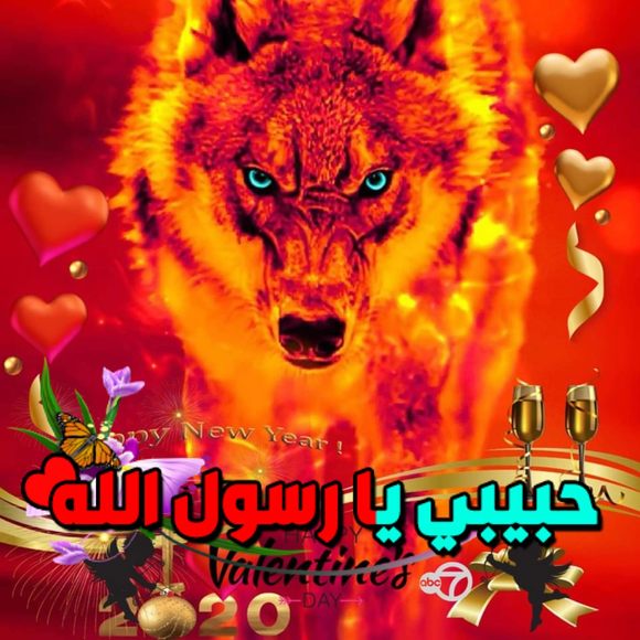 Profile Picture of Mohamed Shama (@mikeshama) on Poshmark