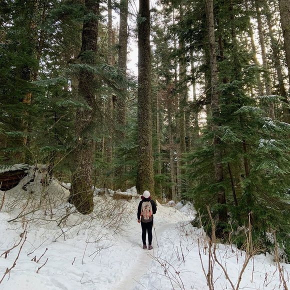 Profile Picture of Chloe Suarez (@csuar) on Poshmark