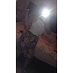 Profile Picture of Eloise Ellis (@ellis.eloise) on Instagram