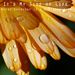Profile Picture of It's My Side Of Life (@motherbugs) on Pinterest
