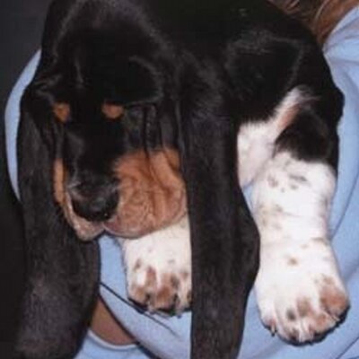 Profile Picture of Bob Bramucci (@bobbramucci) on Twitter