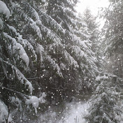 Jørn Skjelstad - Youtube Profile Picture of Jørn Skjelstad (@jrnskjelstad8471) on Youtube