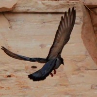 Profile Picture of Jasmina Markovic (@jasmina-markovic-1) on Quora