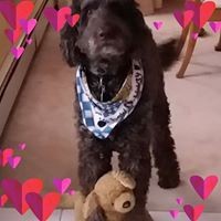 Profile Picture of Joyce Murphy (@joyce-murphy-12) on Quora