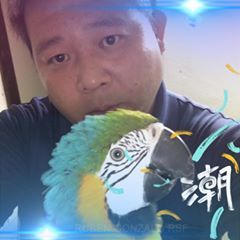 Profile Picture of Hung Yi Tsai (@impreza6655) on Tiktok