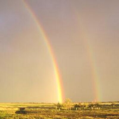 Profile Picture of Michael Schranz (@farmdud95) on Twitter