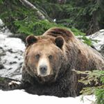 Thomas Kilduff - Instagram Profile Picture of Thomas Kilduff (@hollykilduff2018) on Instagram