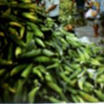 Profile Picture of Lawrence Gonçalves (@reidomilhoverde_18) on Instagram