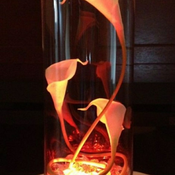 Profile Picture of Catherine Chandler (@catie625) on Poshmark